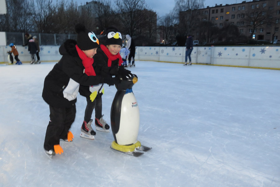Zimowy Dzień Pingwina